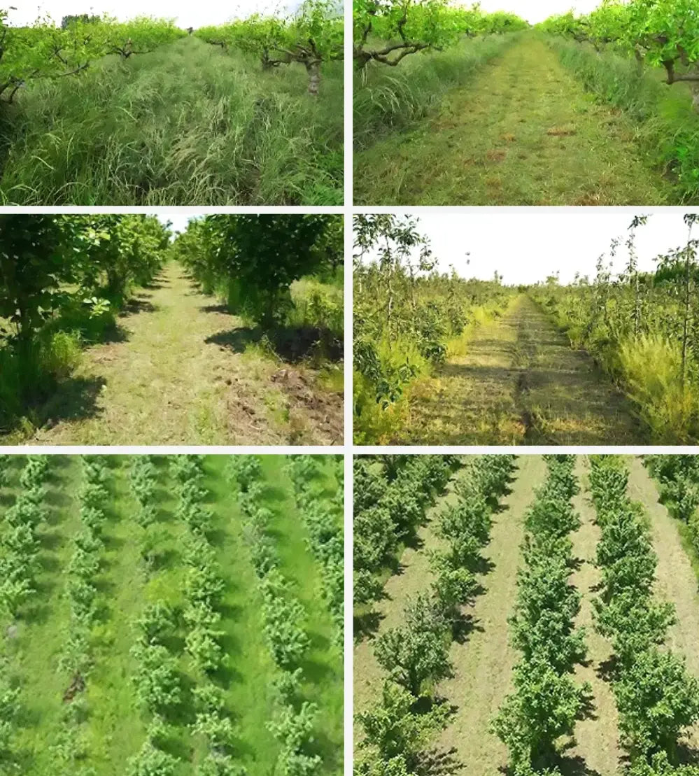 K-Maxpower débrousailleuse 14 HP 2